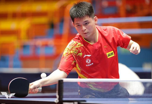 归化球员的 归化球员的