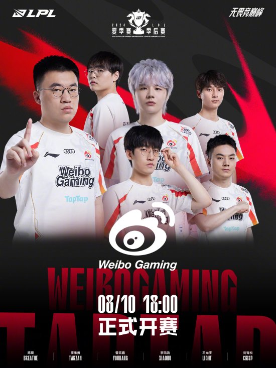 的球场轮廓 的球场轮廓