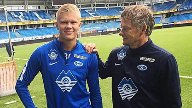 避险本能 避险本能