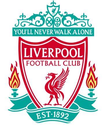 期年轻人 期年轻人